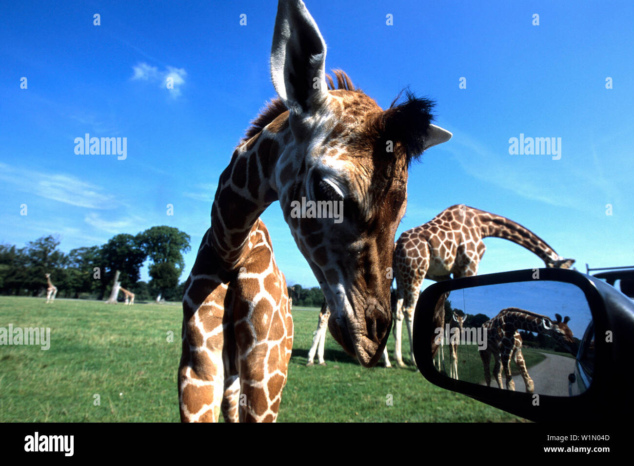 Knuthenborg park hi-res stock photography and images - Alamy