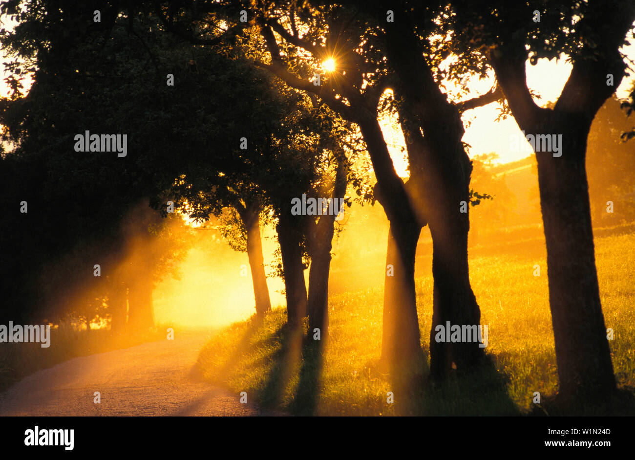 Landschaft, Abendstimmung Stock Photo