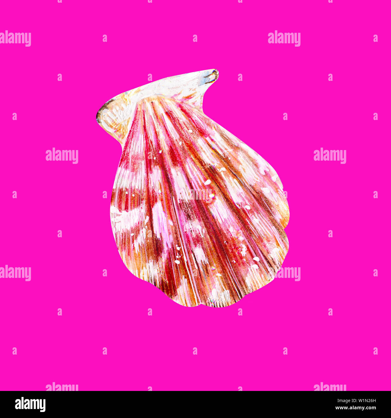 Pink mother of pearl shell scallop. Sea bivalve Pectinidae. Nature of the World Ocean. Underwater resident. Hand drawn illustration isolated on neon p Stock Photo