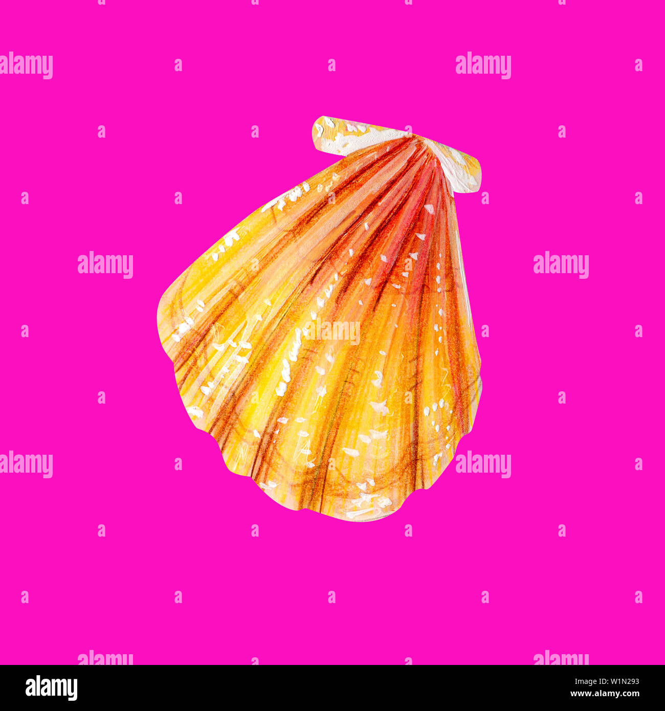 Yellow sea shell scallop. Sea bivalve Pectinidae. Nature of the World Ocean. Underwater resident. Hand drawn illustration isolated on neon pink backgr Stock Photo