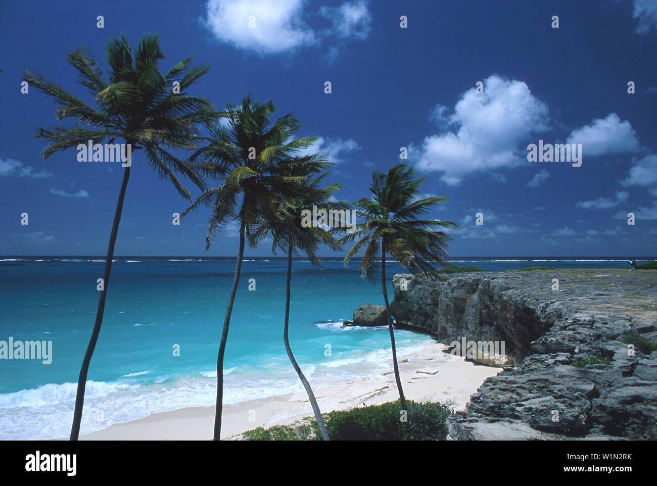 Bottom bay botany hi-res stock photography and images - Alamy