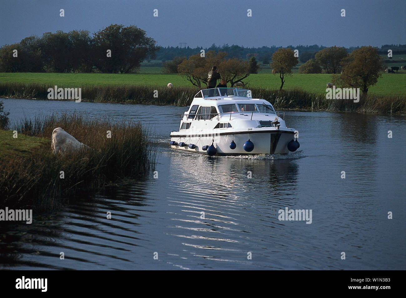 Osuck hi-res stock photography and images - Alamy