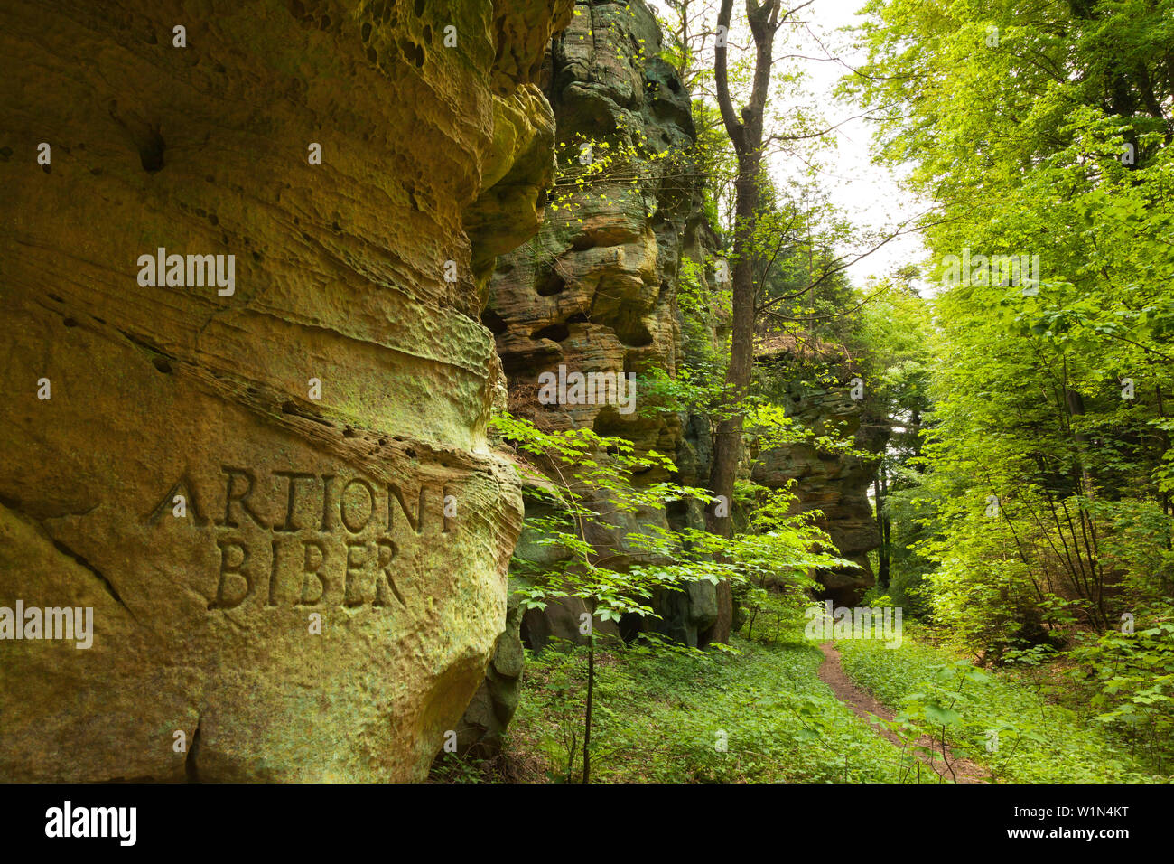 Rock formation, Schweinestaelle, near Bollendorf, nature park Suedeifel, Eifel, Rhineland-Palatinate, Germany Stock Photo