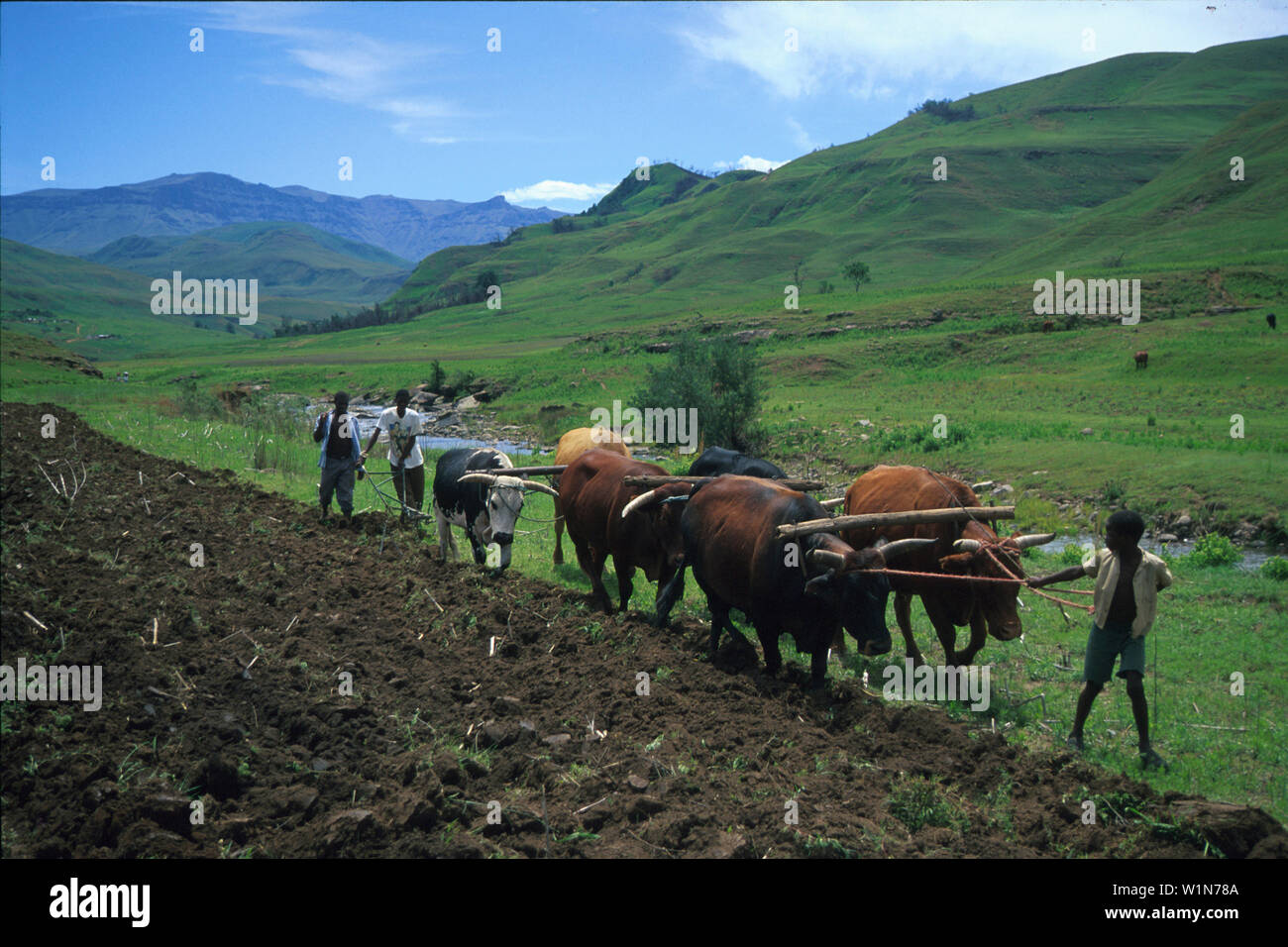 Bauern in Loteni N.P., Suedafrika Stock Photo