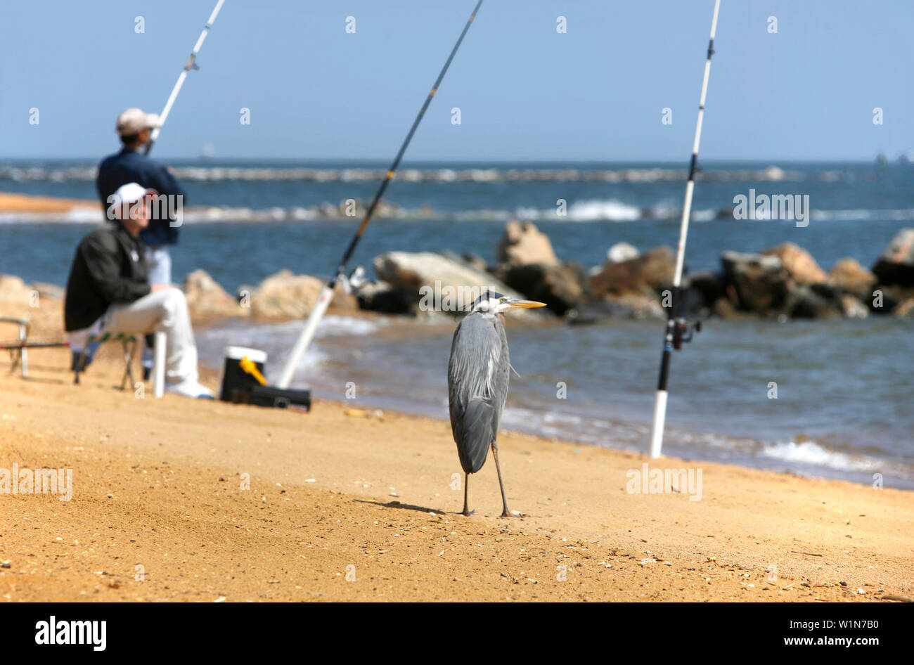 Sandy Point, Chesapeake Bay, Maryland, United States Stock Photo Alamy