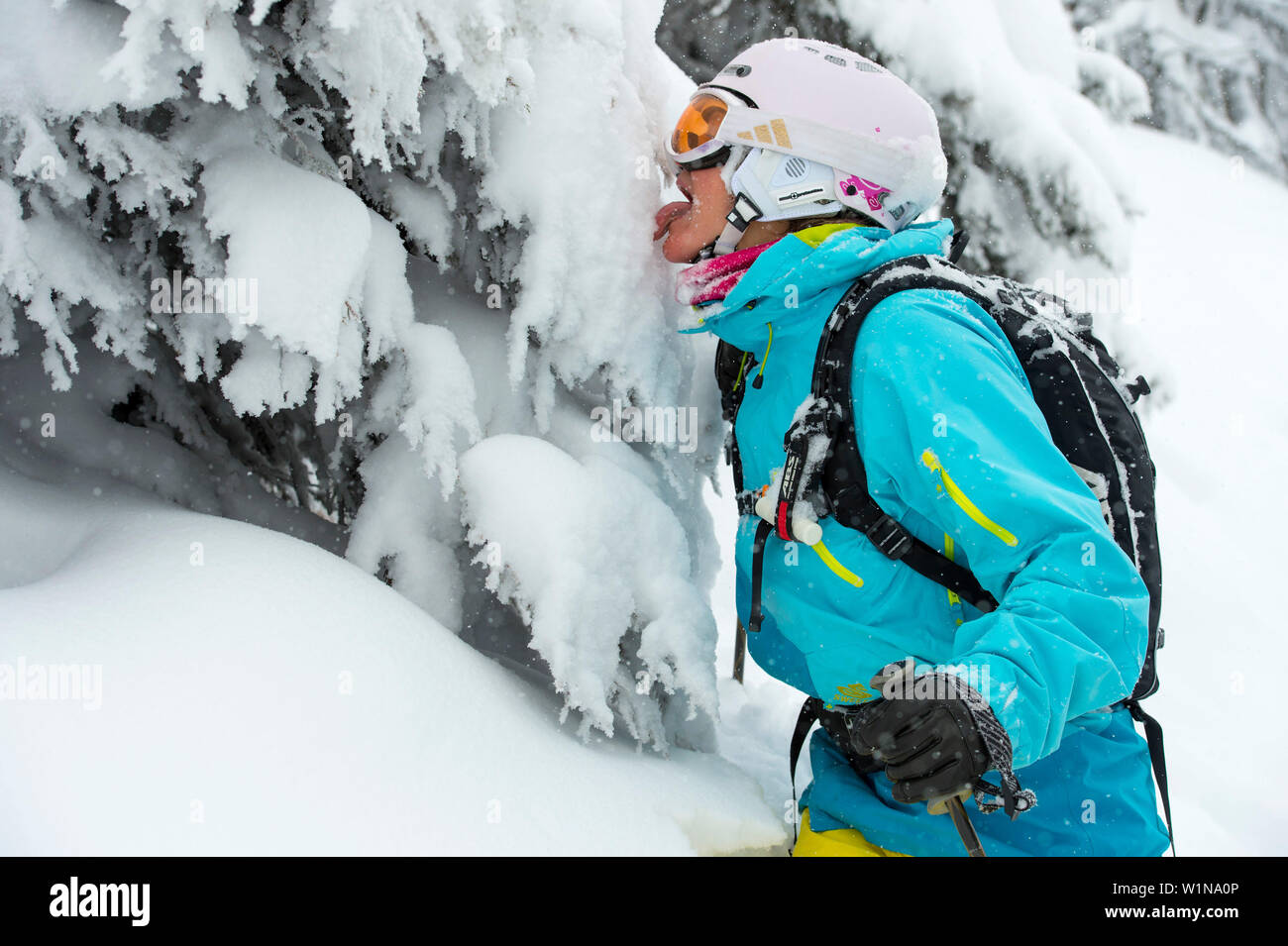Female skier tasting snow, Alpbachtal, Tyrol, Austria Stock Photo