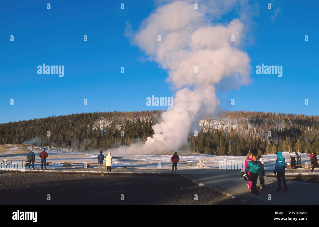 Geysir Old Faithful Yellowstone Nationalpark Wyoming Usa Stock