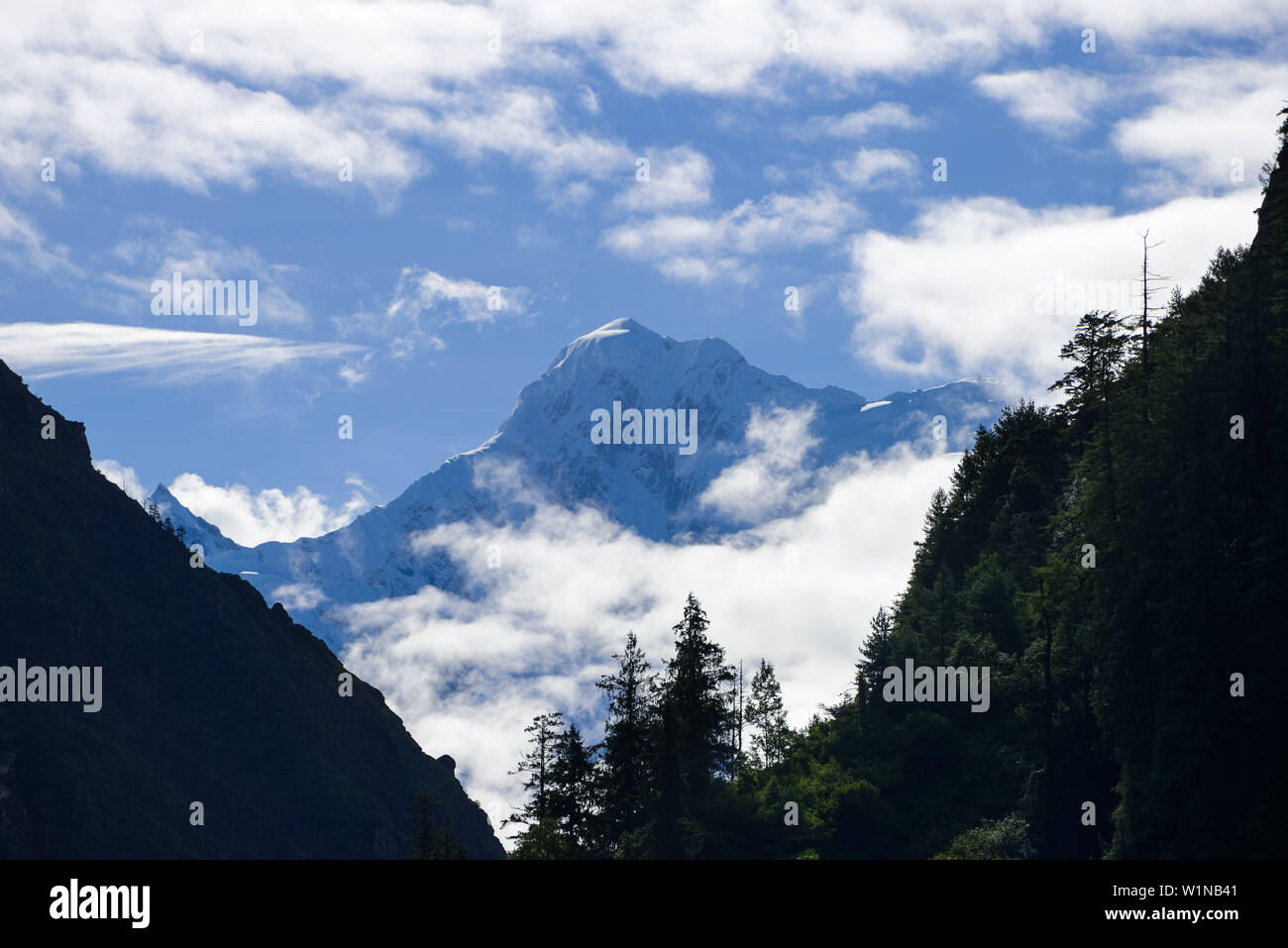 Manaslu (8163 m), number 8 on the list of the highest mountains in the world, view from Koto at the Annapurna Circuit Trek, Nepal, Himalaya, Asien Stock Photo