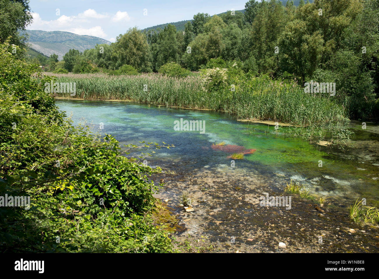 Source Rive Rmoutain Source of a river hi-res stock photography and images - Alamy
