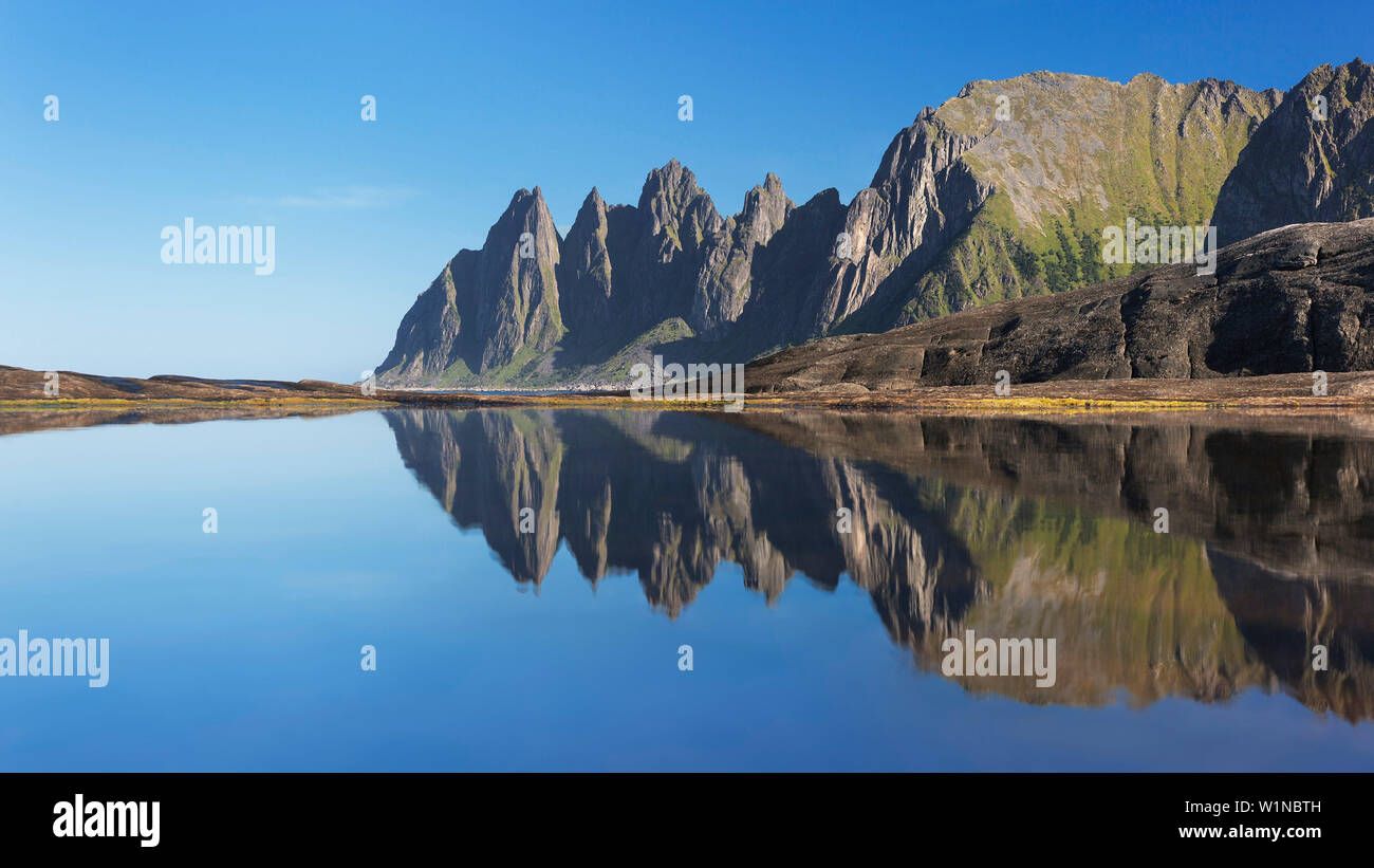 Okshornan rock peaks at the Ersfjordr in northern Norway with it's reflection in summer, Senja, Troms Fylke, Norway, Scandinavia Stock Photo