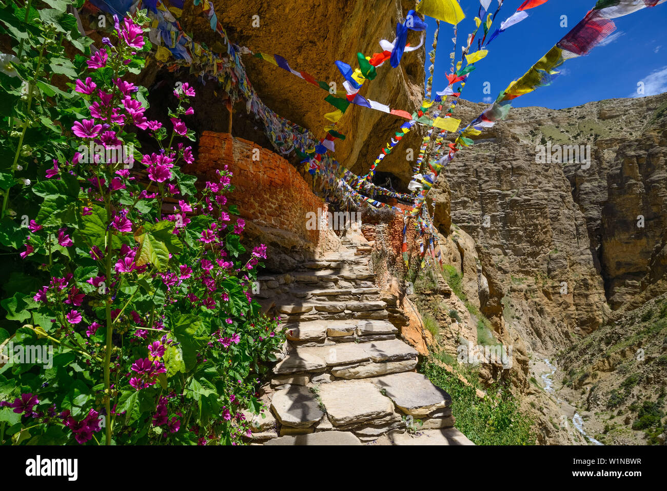 Ranchung Cave, Buddhist monastery, cave temple, gompa with prayer flags, near Samar, Kingdom of Mustang, Nepal, Himalaya, Asia Stock Photo