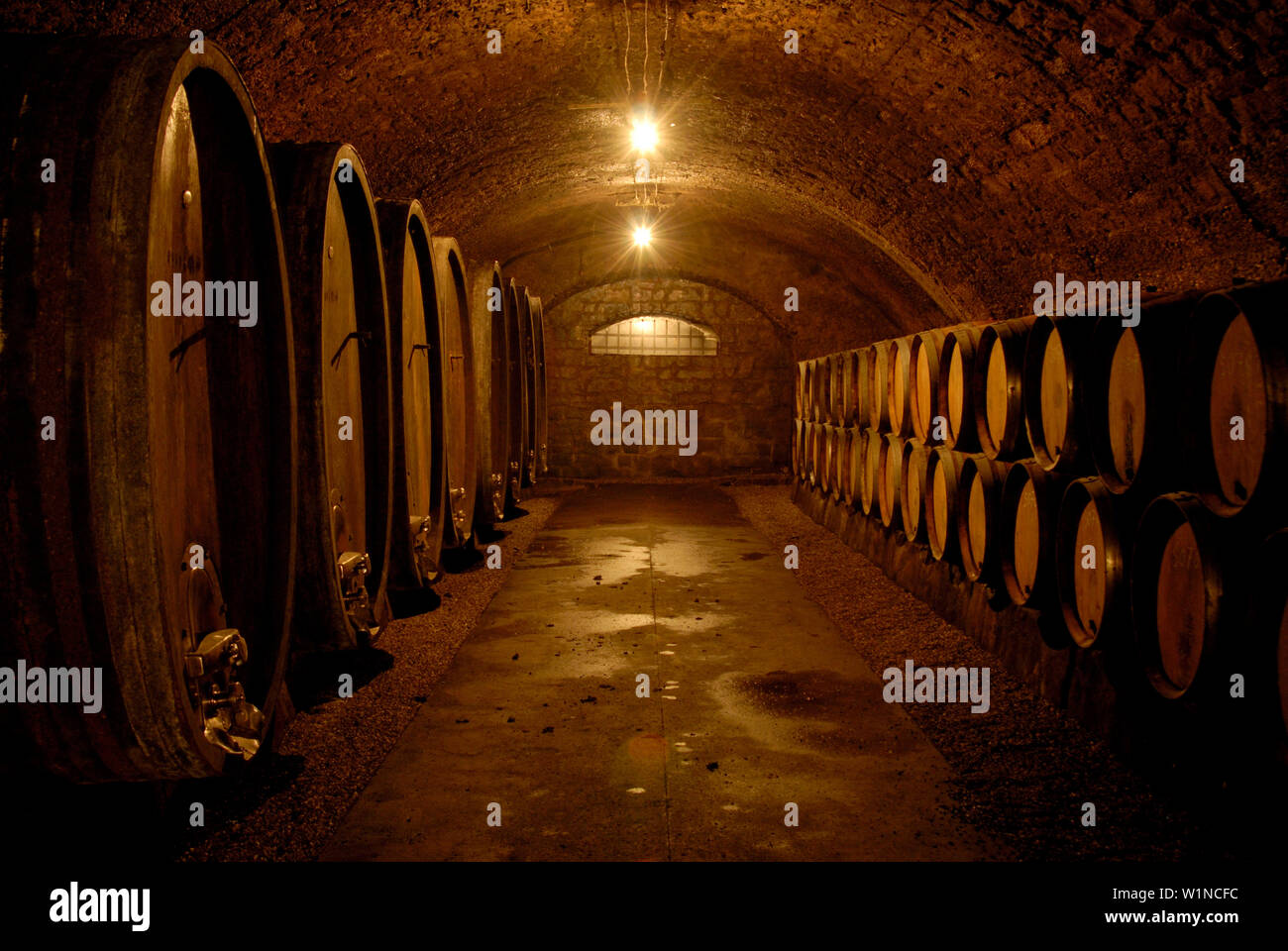 Remich at river Moselle, wine cellar, Luxembourg, Europe Stock Photo