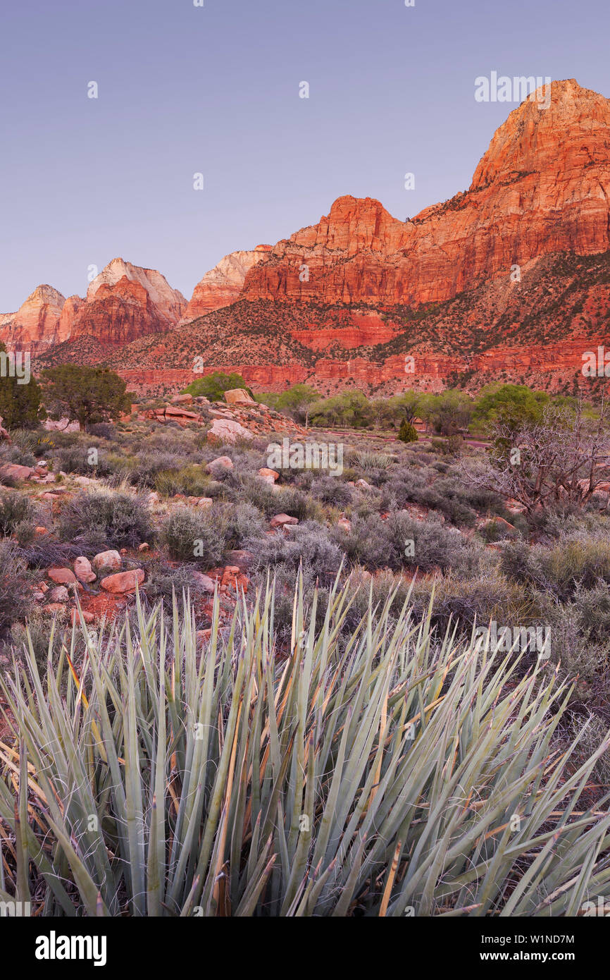 Bridge Mountain, Zion National Park, Utah, USA Stock Photo Alamy