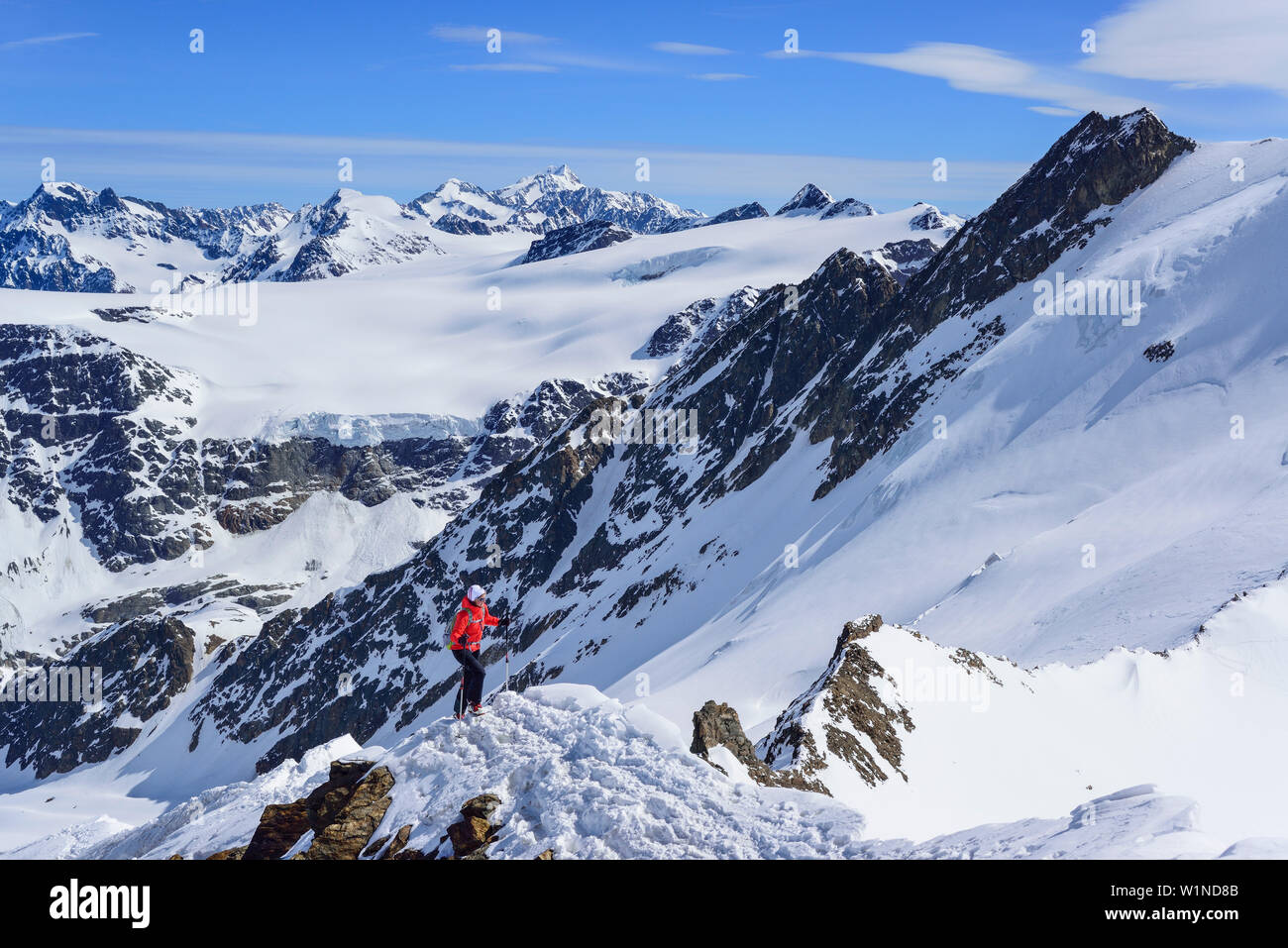Woman back-country skiing ascending towards Aeusserer Baerenbartkogel, Aeusserer Baerenbartkogel, valley of Langtaufers, Vinschgau, Oetztal Alps, Sout Stock Photo