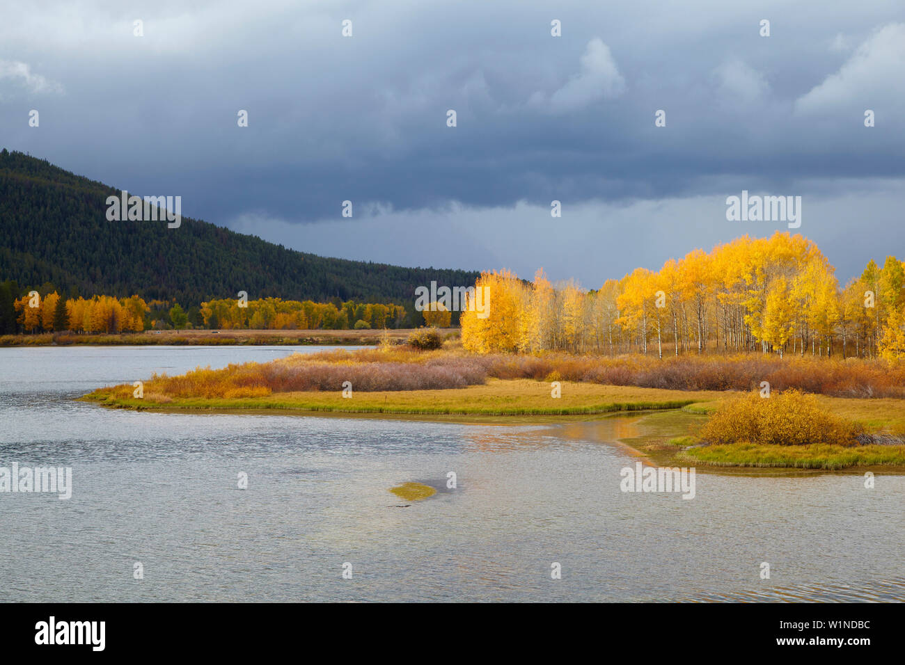 Autumnal tints at Oxbow Bend , Snake River , Grand Teton National Park , Wyoming , U.S.A. , America Stock Photo