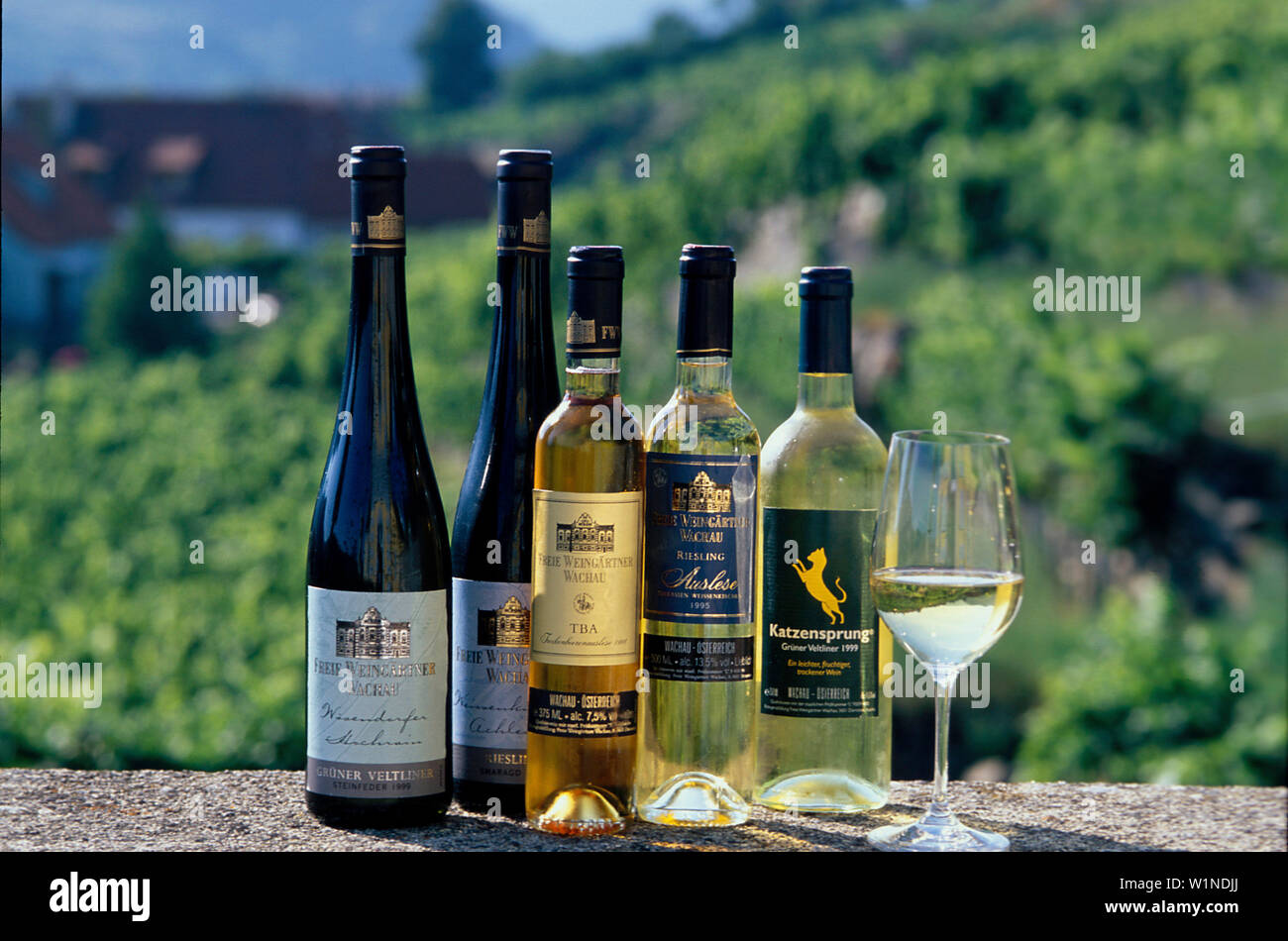 Weinsortiment, Flaschen, Freie Weingaertner Wachau Duernstein, Wachau, Oesterreich Stock Photo