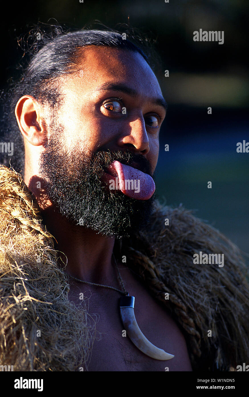 Maori Warrior, Te Whakarewarewa Cultural Area Rotorua, Neuseeland Stock Photo