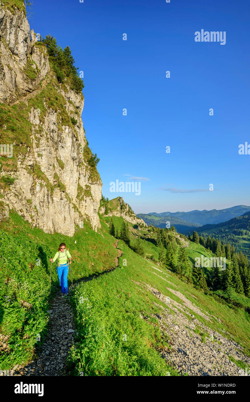 Woman hiking ascending towards Besler, Besler, valley of Balderschwang, Allgaeu Alps, Allgaeu, Svabia, Bavaria, Germany Stock Photo