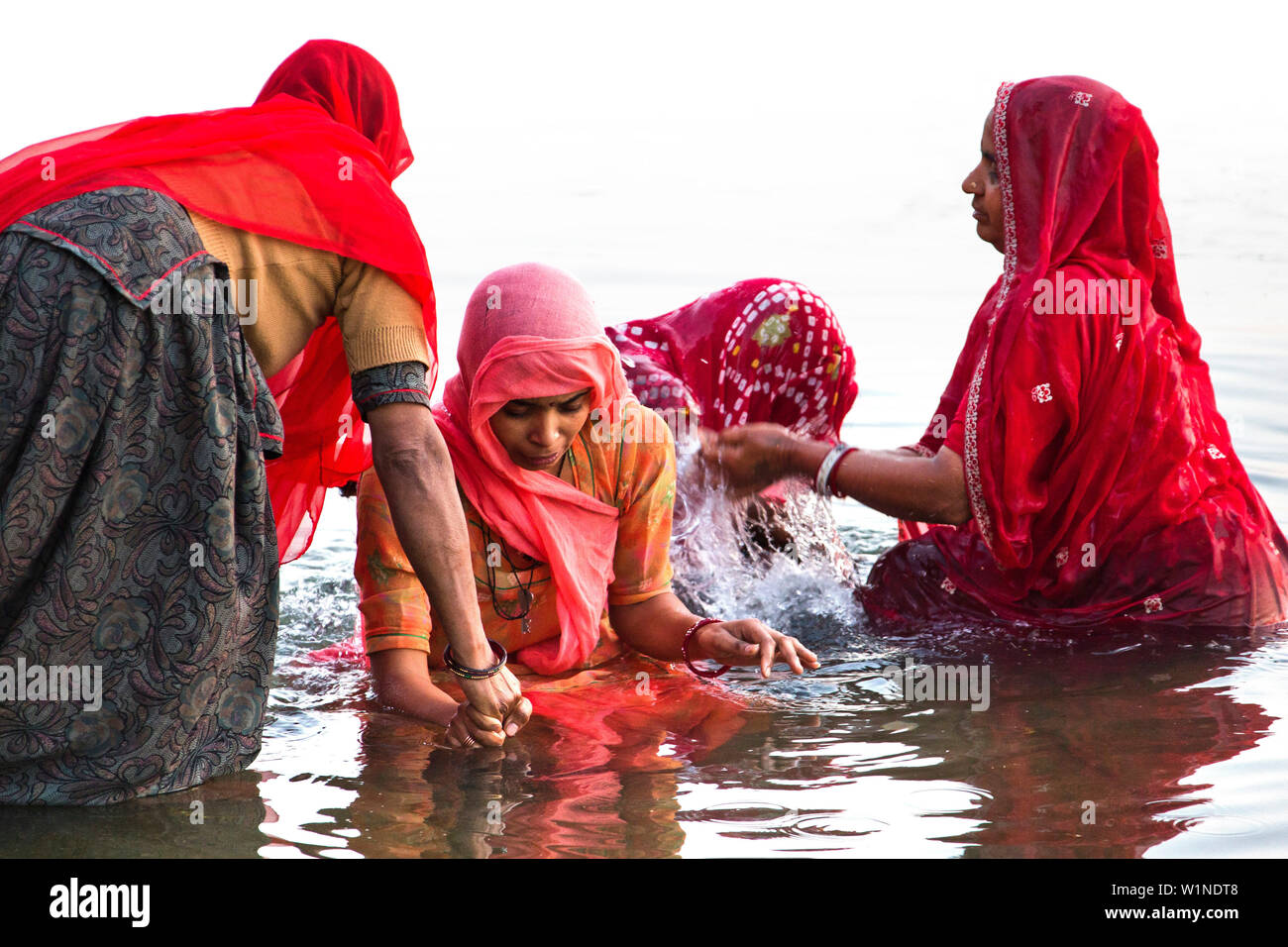 Women having a ritual bath in lake Pichhola, Udaipur, India Stock Photo