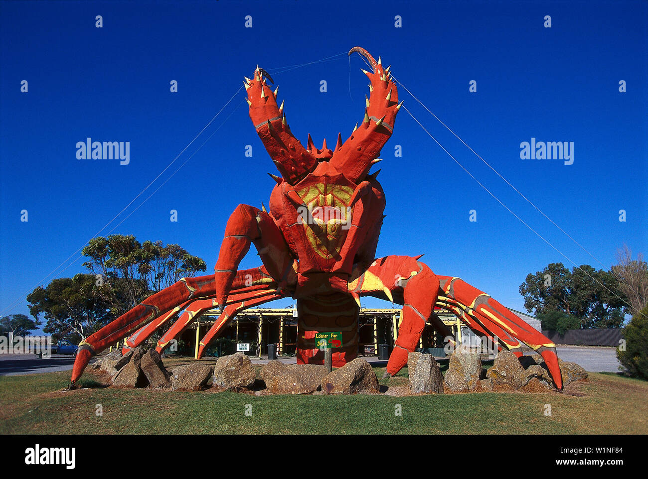 The Big Lobster, Kingston SA, Australia Stock Photo Alamy The Big Lobster, Kingston SA, Australia Stock Photo Alamy