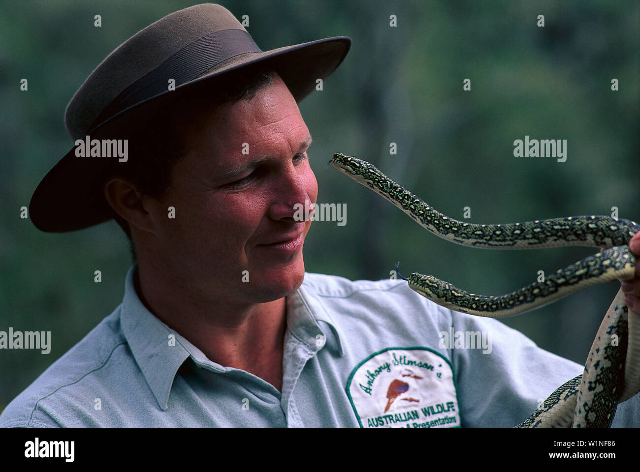Rancher, Wollemi NP, New South Wales Australia Stock Photo