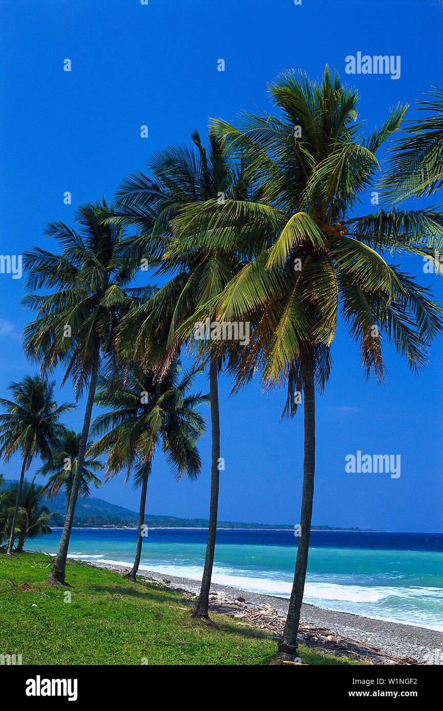 Buff bay jamaica hires stock photography and images Alamy