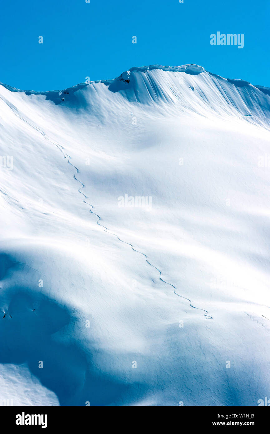 Skier downhill skiing in deep snow, Chugach Powder Guides, Girdwood, Alaska, USA Stock Photo