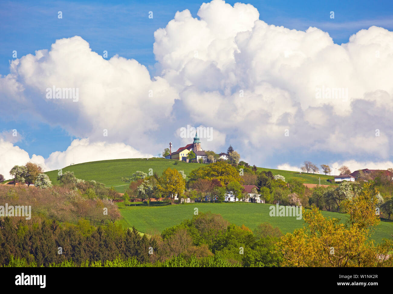 Rural idyl near Grein , Kollmitzberg , Danube , Strudengau , Niederösterreich , Lower Austria , Austria , Europe Stock Photo