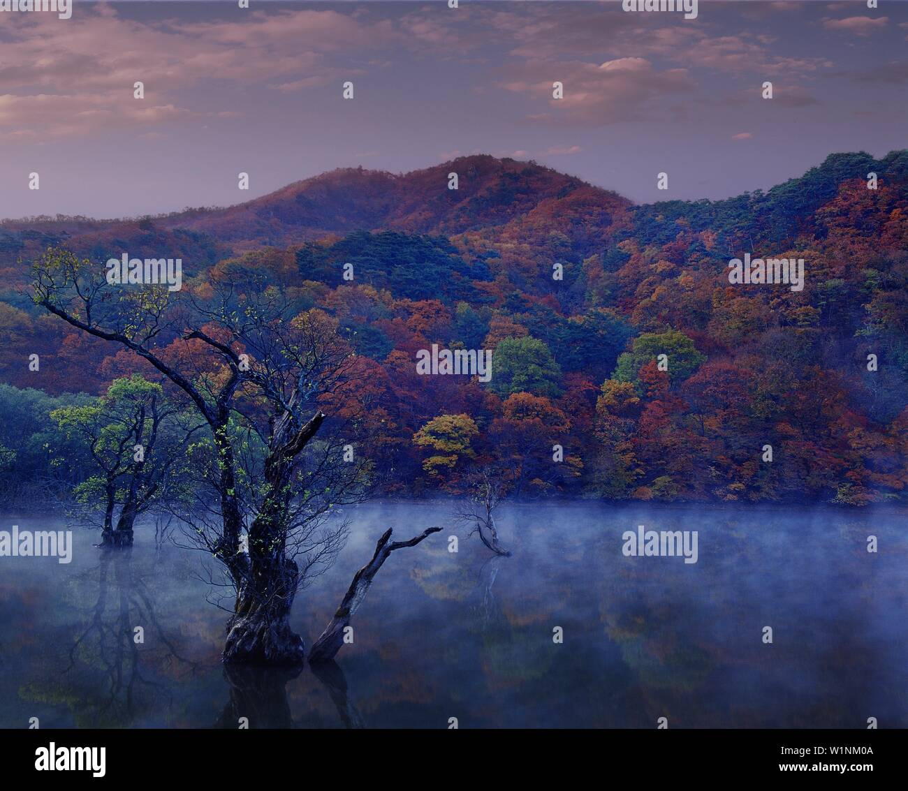 Producing hi-res stock photography and images - Alamy