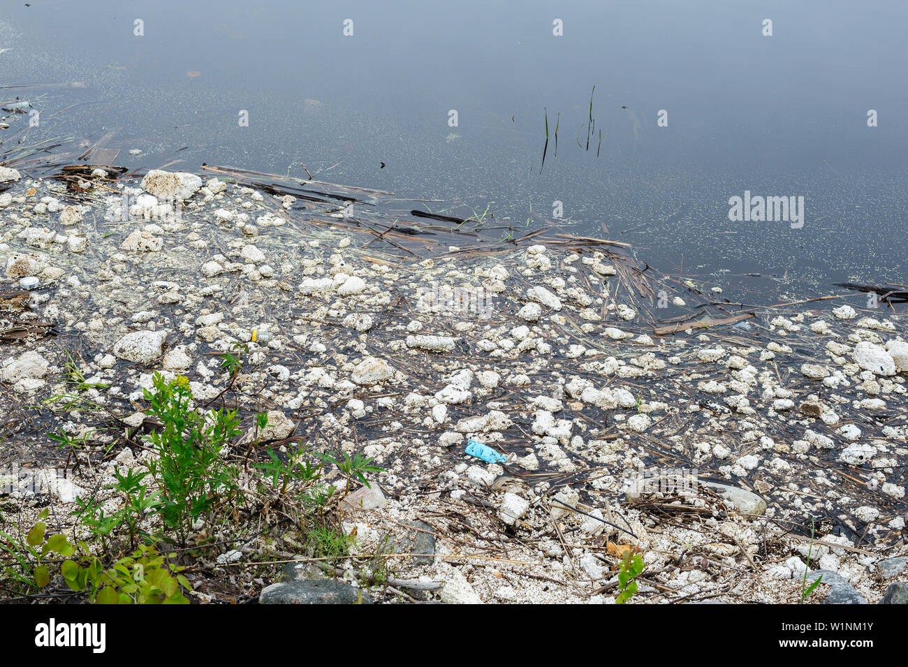 Plastic pollution. Polystyrene, styrofoam garbage on the shore Stock