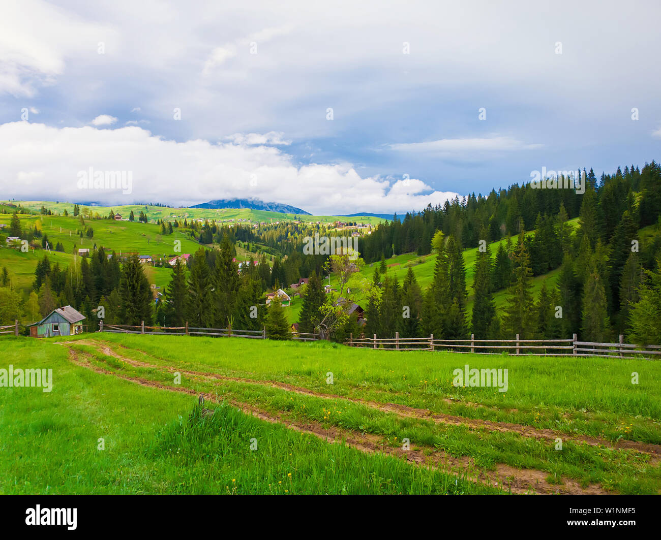Scenic View Of Carpathian Mountains Nature And Acontry Road