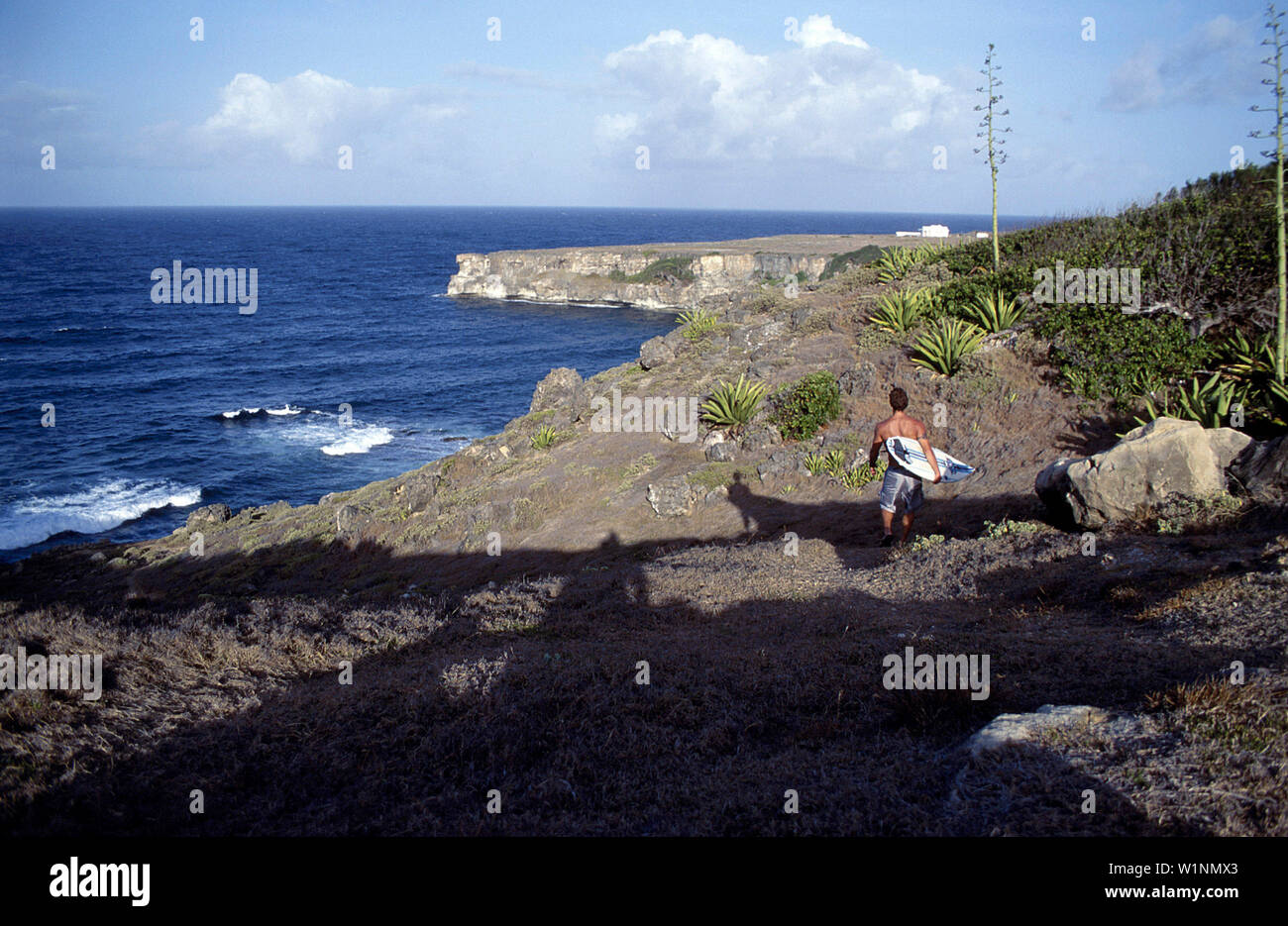 Surfer, Steilkueste, Barbados Karibik Stock Photo