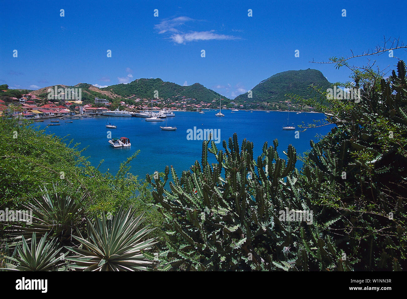 Terre-de-Haut, Iles de Saintes Guadeloupe, Carribean Stock Photo