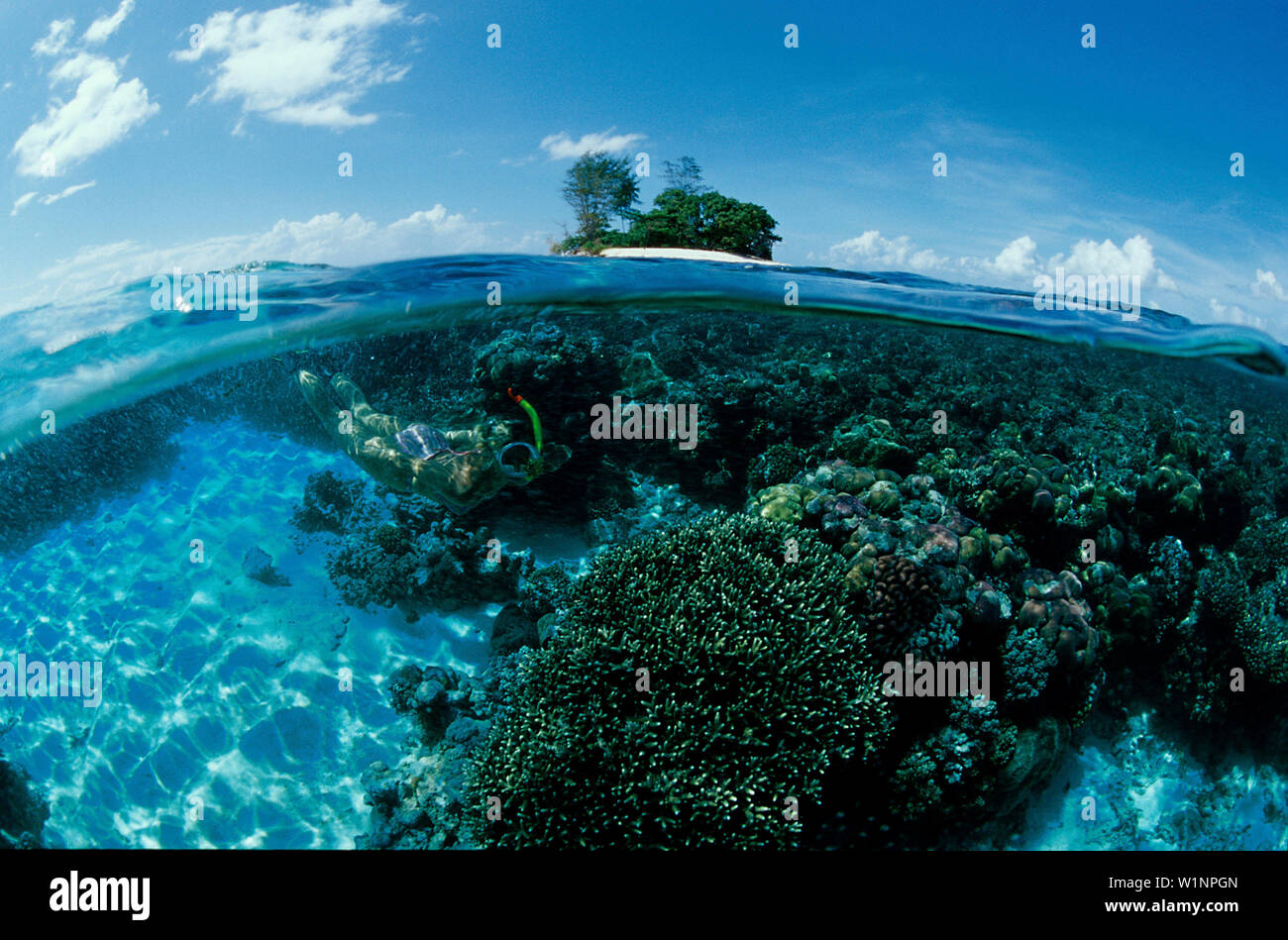 Taucherin vor namenloser, Insel Pazifik Stock Photo