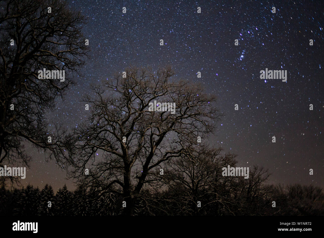 Starry sky winter germany hi-res stock photography and images - Alamy