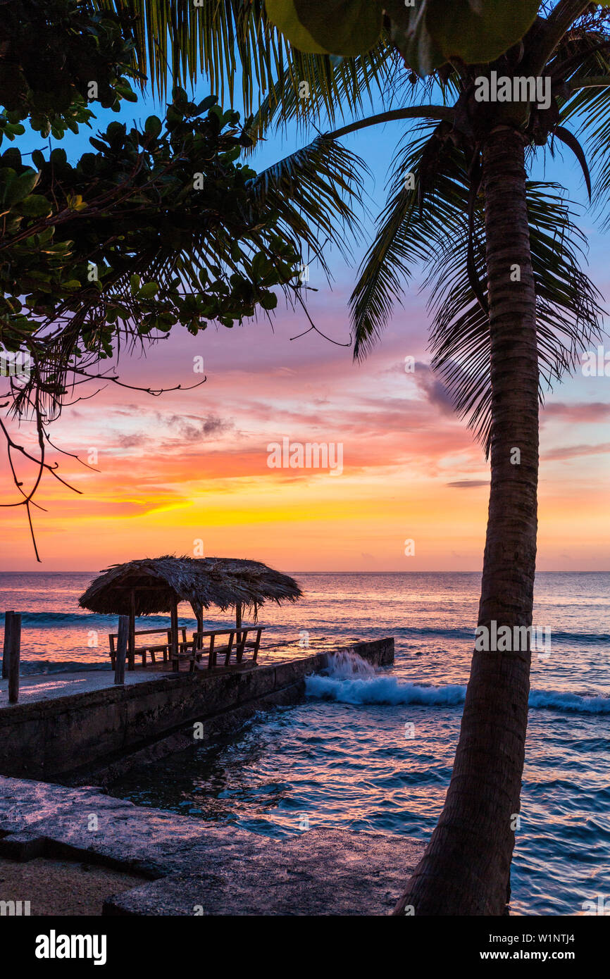Coco palms sunset in hi-res stock photography and images - Alamy