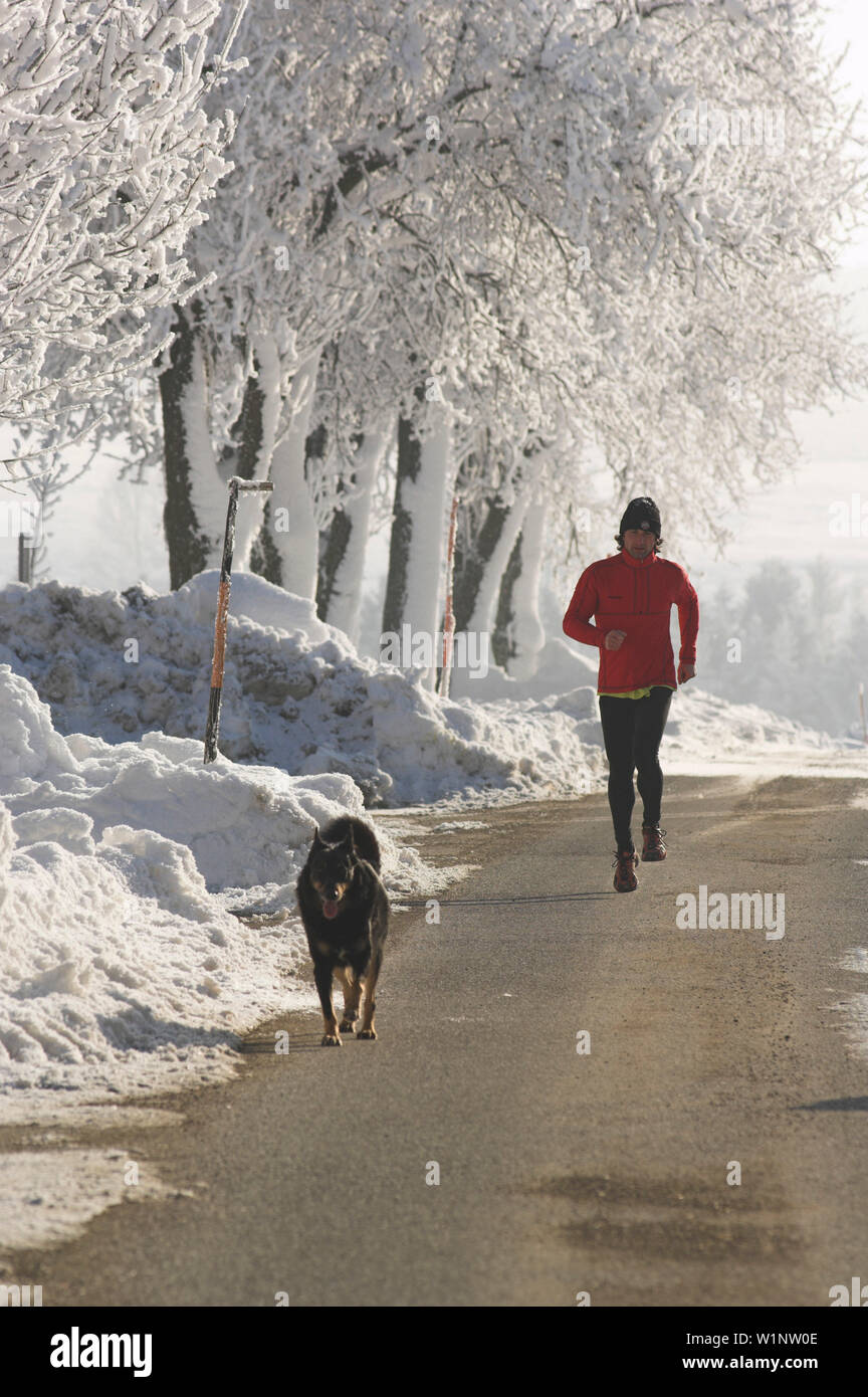 Male jogger with dog in winter, Upper Austria Stock Photo