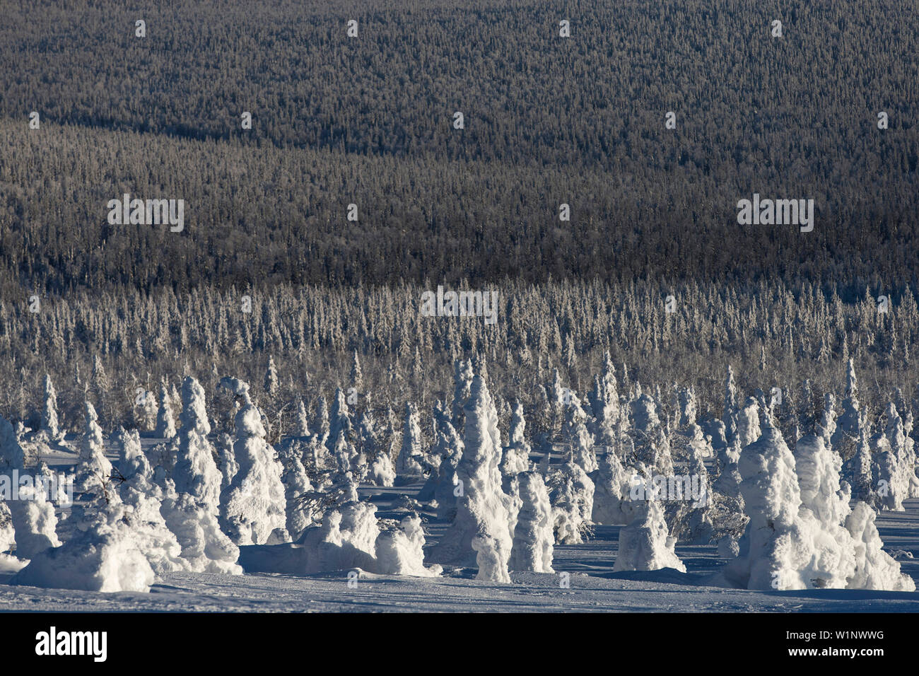 Snowy Tundra in front of the plateau of the Seven Giants Burmantovo, Sverdlovsk Oblast, Urals, Russia. Stock Photo