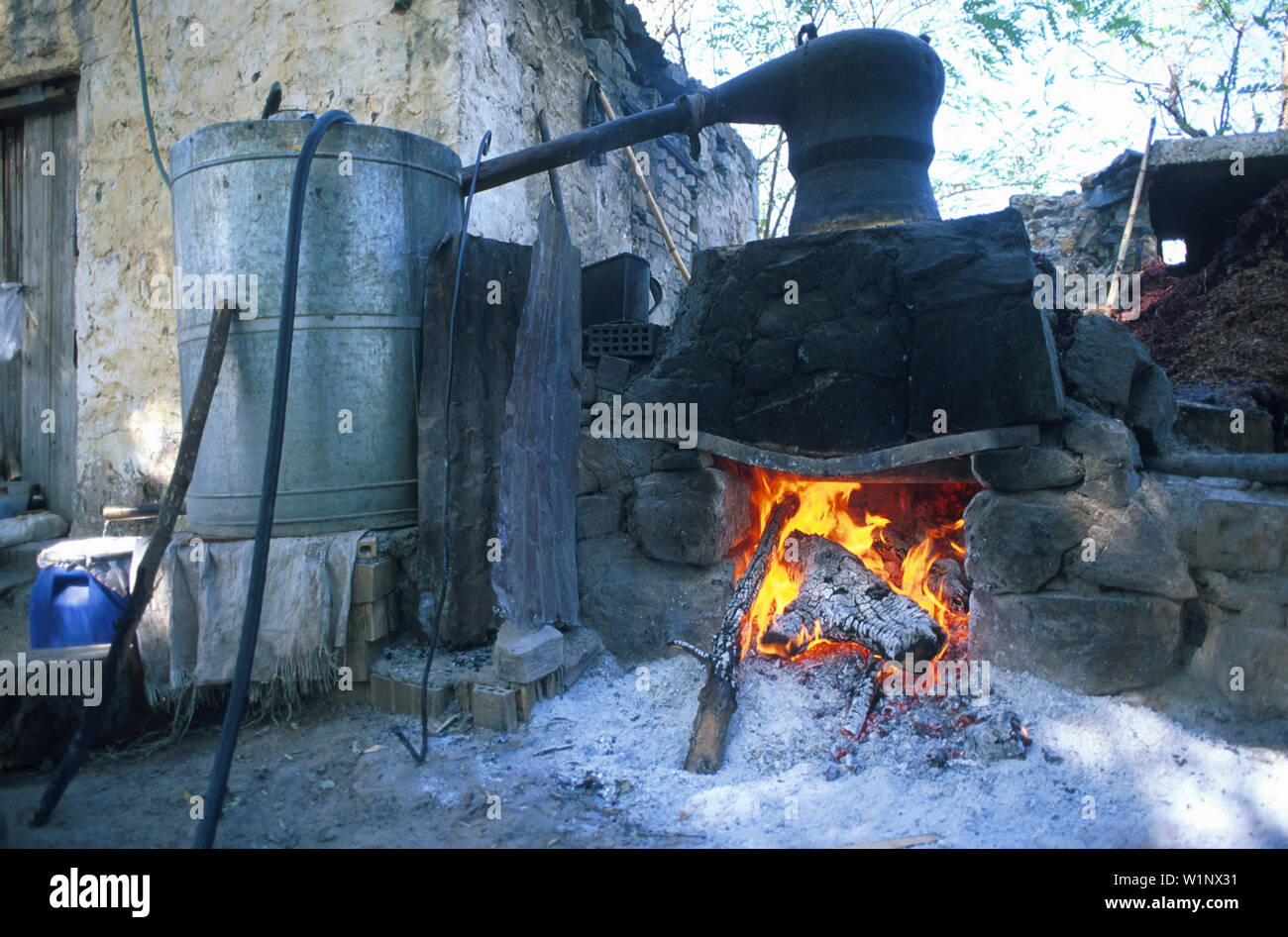 Raki-Brennen, Gonies, bei Anogia, Ida-Gebirge Kreta, Griechenland Stock Photo