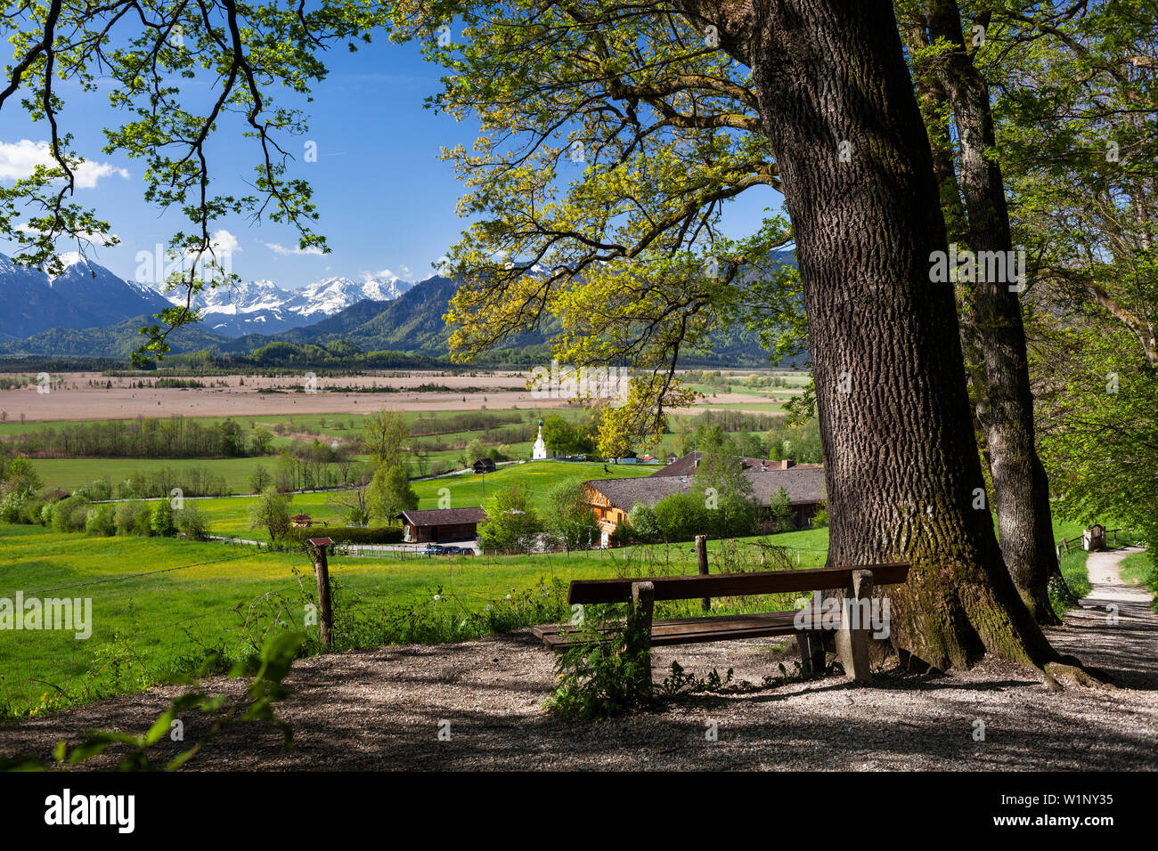 View, moor, Murnau, Alps, Landkreis Garmisch-Partenkirchen, Upper Bavaria, Germany, Europe Stock Photo
