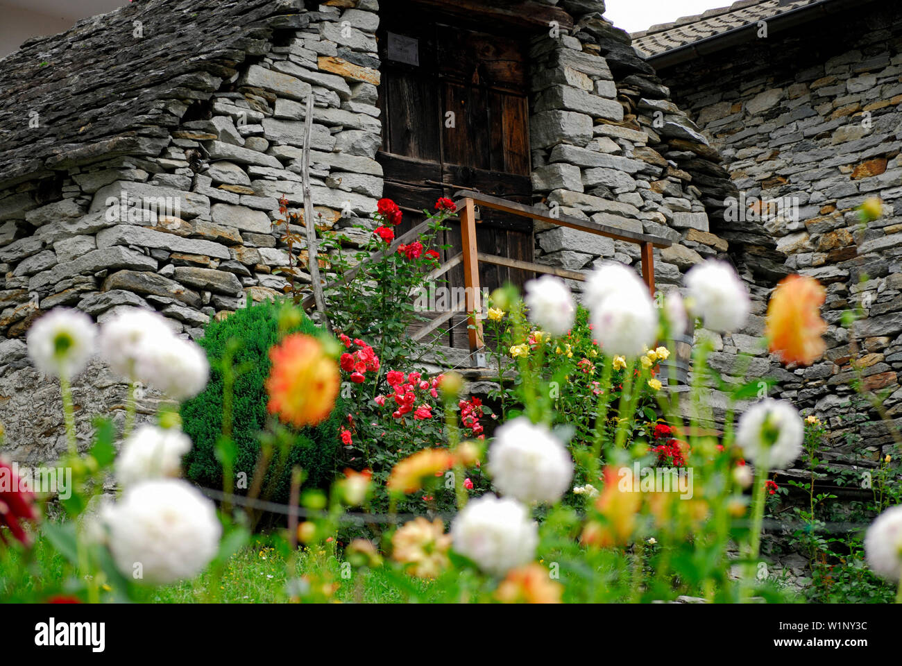 Flower garden with Rustici, Brione, Valle Verzasca, Canton of Ticino, Switzerland Stock Photo