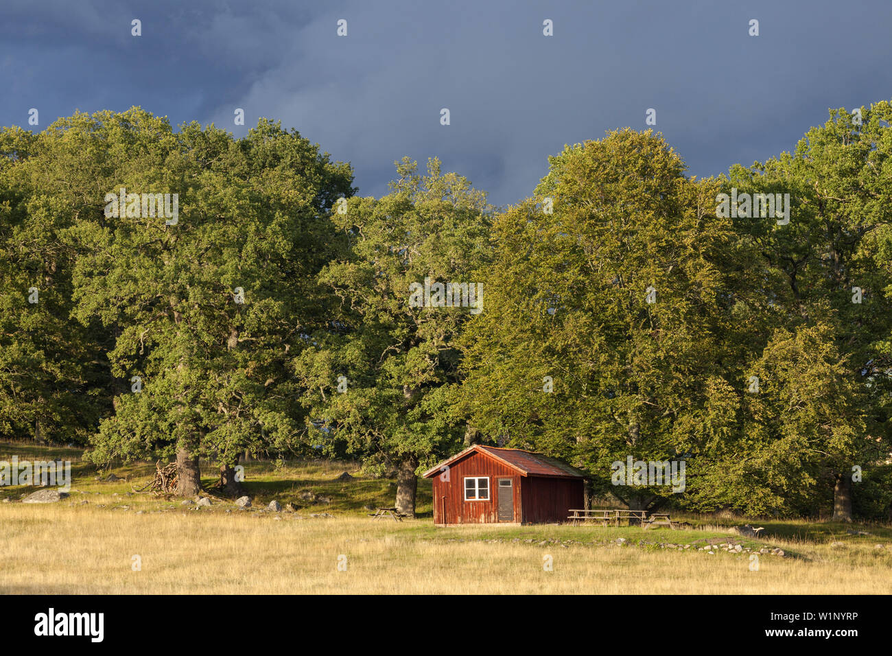 Red hut in nature protection area Hjorthagen, Mariefred, Södermanland, South Sweden, Sweden, Scandinavia, Northern Europe, Europe Stock Photo