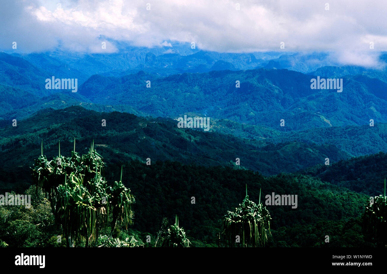 Mt Hagen - Western Highlands Papua New Guinea - Melanesia Stock Photo