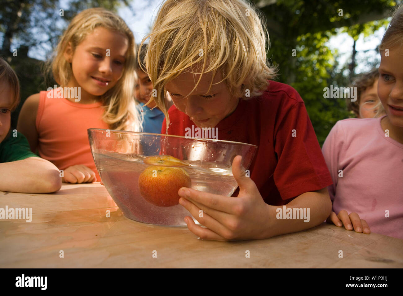 Boy With Wet Hair Bending Over A Dish With Water And An Apple