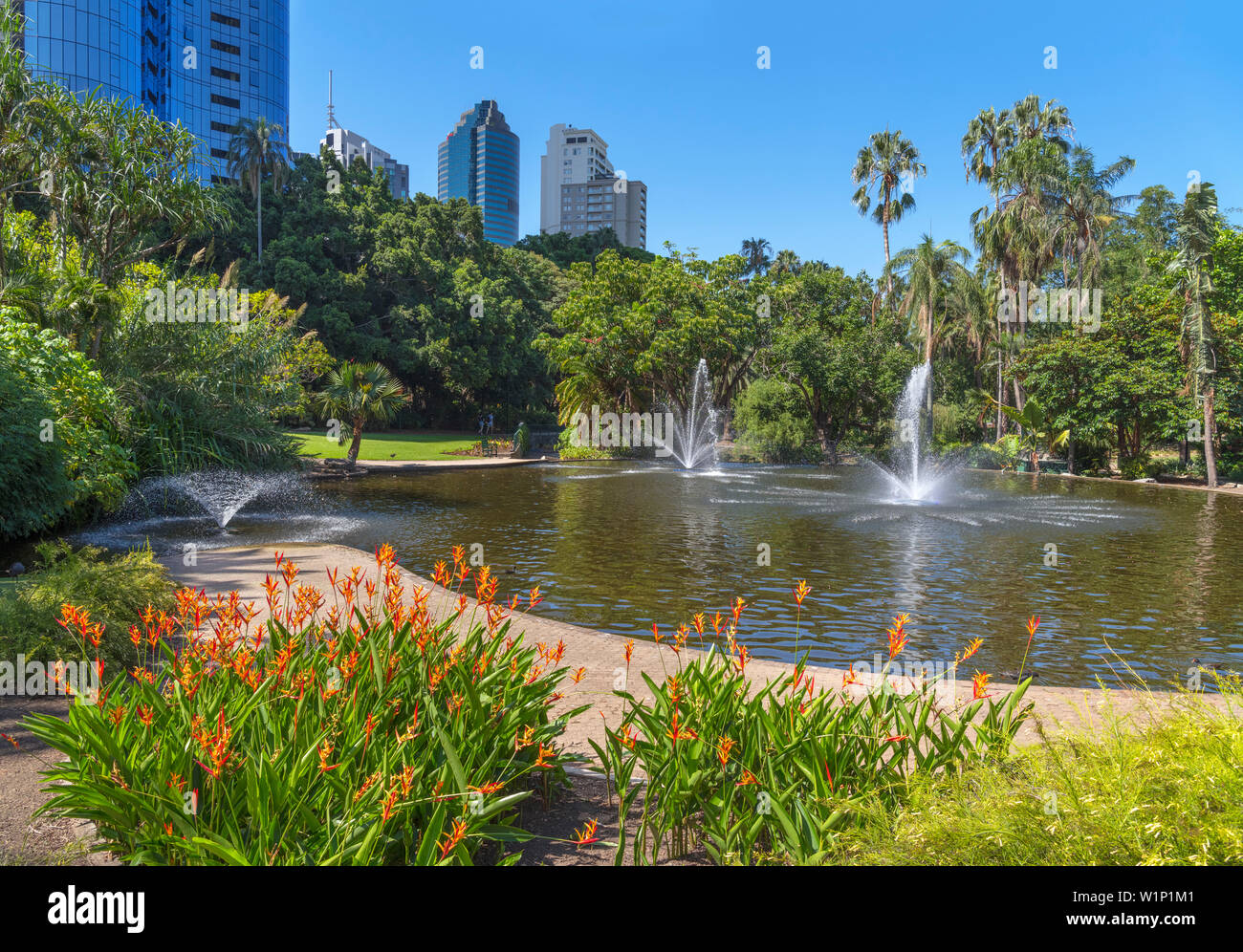 Brisbane city botanic gardens hires stock photography and images Alamy
