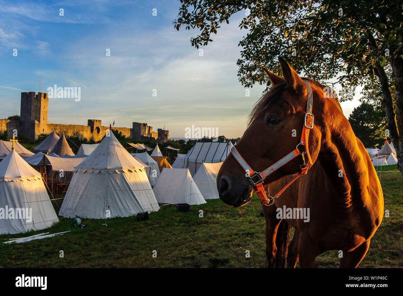 City wall of the old town of Visby, horse in tent camp Medieval festival in front of the old city wall, Schweden Stock Photo