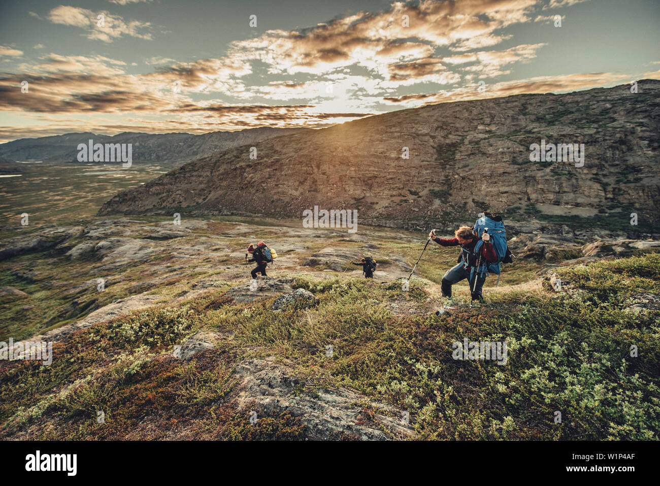 Hiker On A Route Through Greenland Greenland Arctic Stock Photo Alamy
