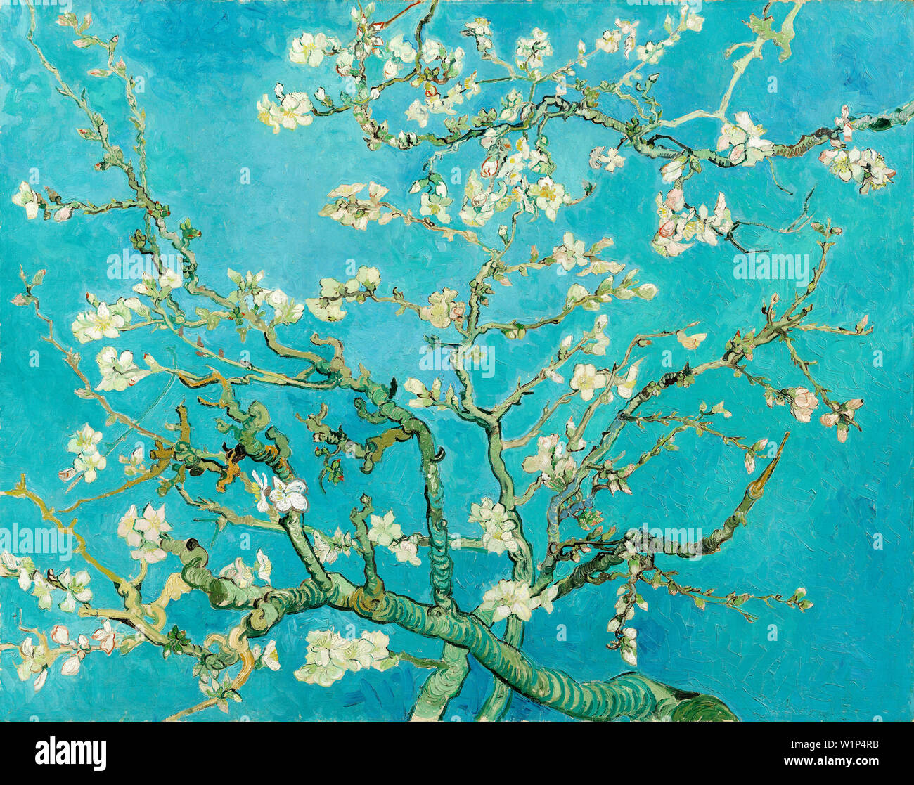Vincent Van Gogh, Almond Blossom, Post Impressionist painting, 1890 Stock Photo