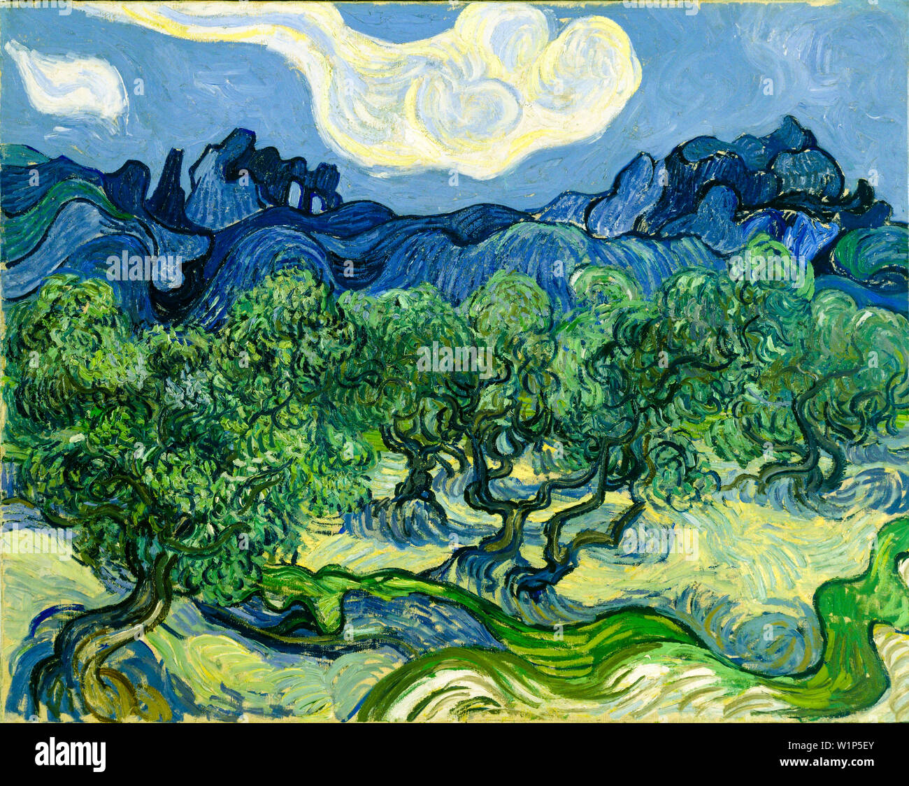 Vincent Van Gogh The Olive Trees Post Impressionist Landscape Vincent Van Gogh The Olive Trees Post Impressionist Landscape