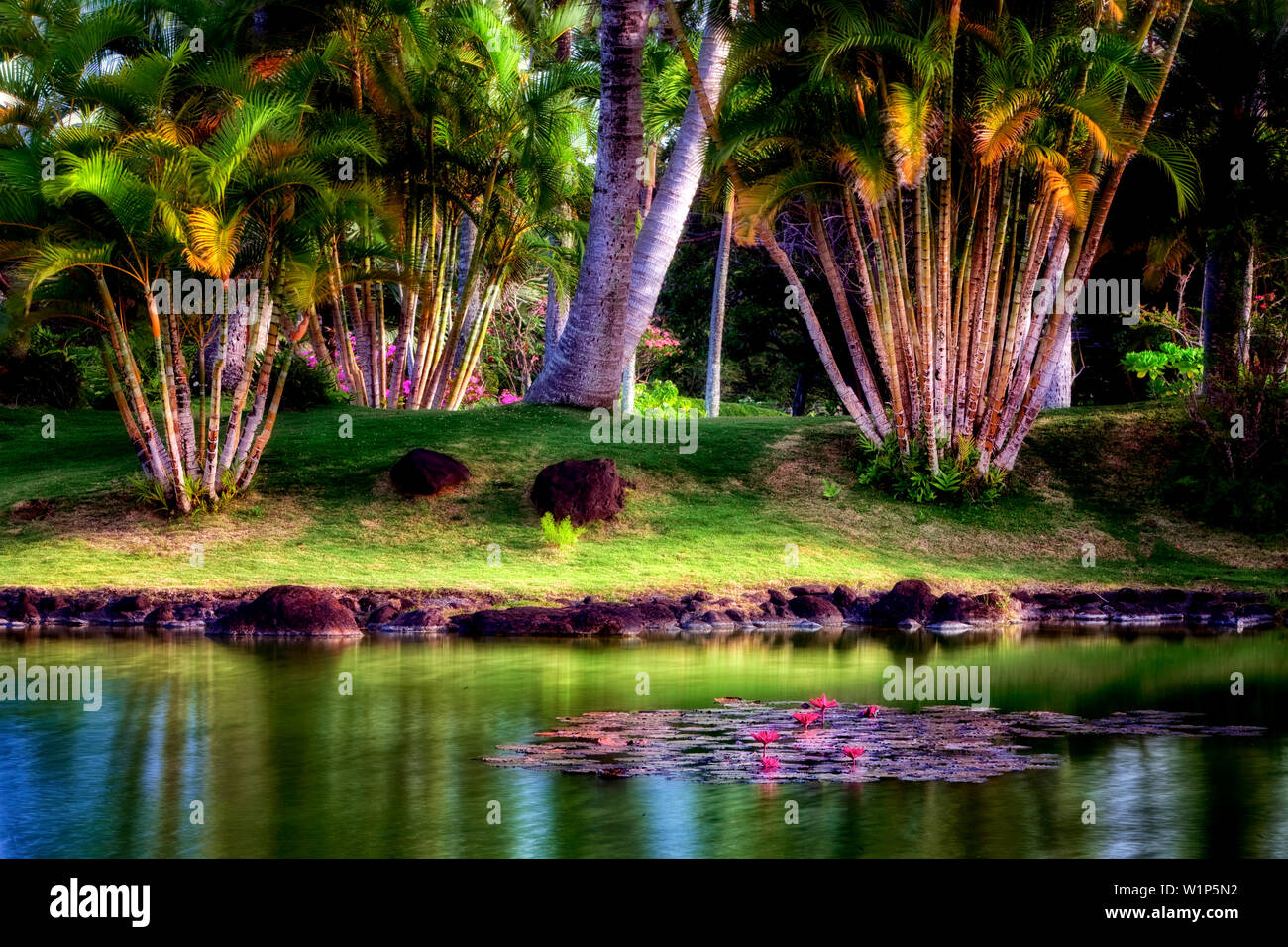 Pond and water lily garden at Na Aina Kai Botanical Gardens. Kauai